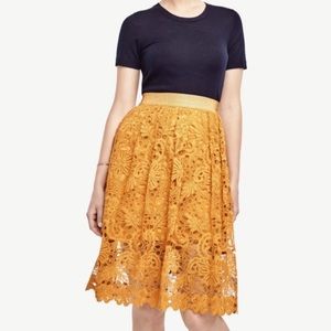 Ann Taylor Mustard Yellow Lace MIDI Skirt Sz 8